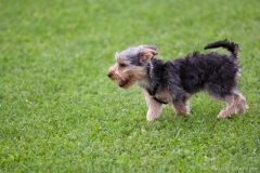 009-thommy-kraus.photography
