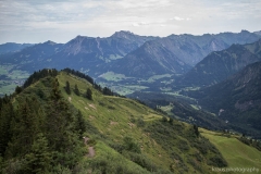 Fellhorn