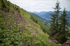 003-Fellhorn-kraus.photography