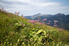 006-Fellhorn-kraus.photography