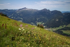 010-Fellhorn-kraus.photography
