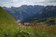 011-Fellhorn-kraus.photography
