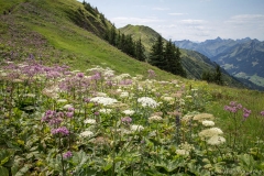 012-Fellhorn-kraus.photography
