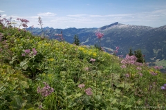 013-Fellhorn-kraus.photography