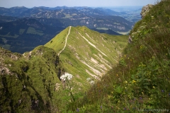 015-Fellhorn-kraus.photography