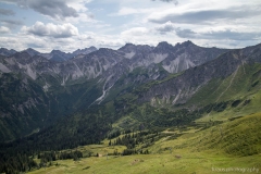 Fellhorn