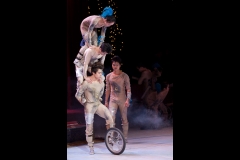 Weltweihnachtszirkus