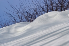 Schnee