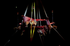 050