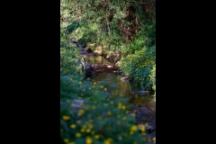 Landschaft