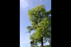 7410