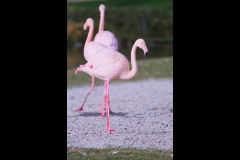 0001