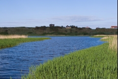 Landschaft